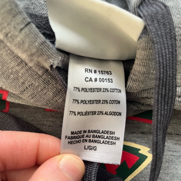 Champion Men’s Gray Minnesota Wild Hockey Hooded Sweatshirt Large - Picture 4 of 8